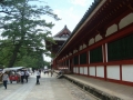 Nara : Todai-Ji