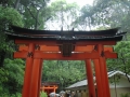 Kyoto : Inari