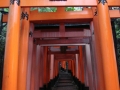 Kyoto : Inari
