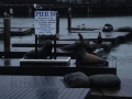 Fisherman\'s Wharf